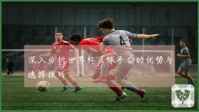 深入分析世界杯买球平台的优势与选择技巧