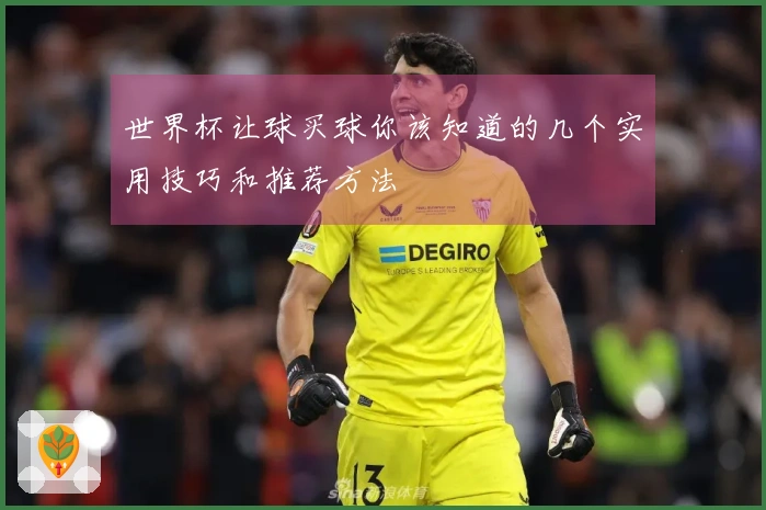 世界杯让球买球你该知道的几个实用技巧和推荐方法