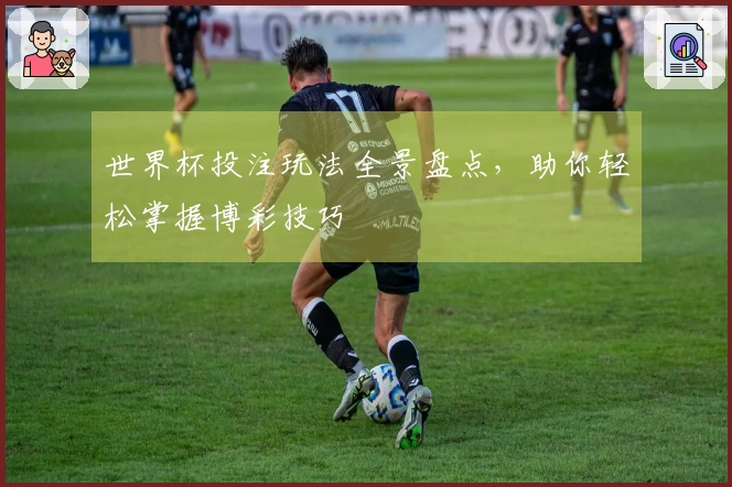 世界杯投注玩法全景盘点，助你轻松掌握博彩技巧