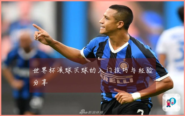 世界杯滚球买球的入门技巧与经验分享