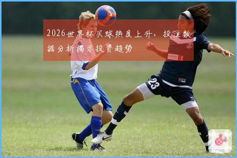 2026世界杯买球热度上升，投注数据分析揭示投资趋势